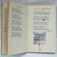 Pages 8-9