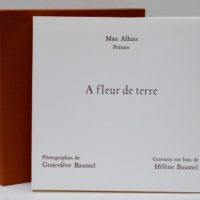 A fleur de terre