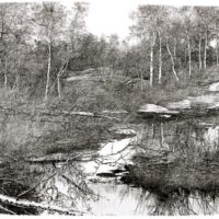 L.Ceschin