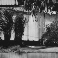 N.Grall