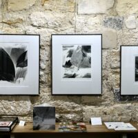 Mallarme II Jardins possibles Aile