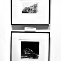 A.Brasse - M.Simonidhi