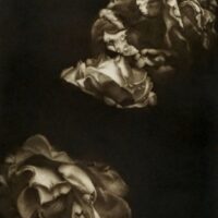 Y. Alexieff Melancholia