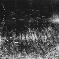 Traumteich