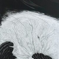 M. Joffrion Effervescence
