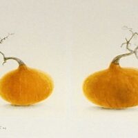 M. Watanabe Nouvelles récoltes