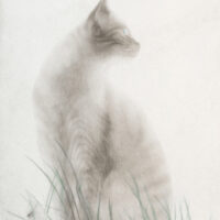 M. Watanabe Shiro