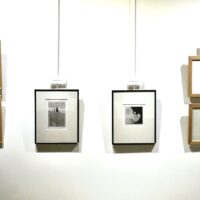 Vielle - Rebillaud - Simonhidi