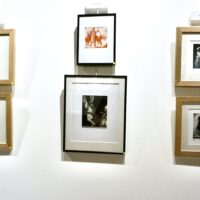 Simonhidi - Doaré - Braun