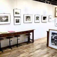 Y.Doare-H.Nue-L.Ceschin