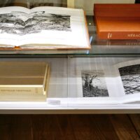 Y.Doare-H.Nue livres