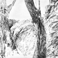A.Helsly Deux arbres A.Helsly Deux arbres