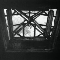 Glasshouse IV