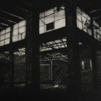 Glasshouse VI