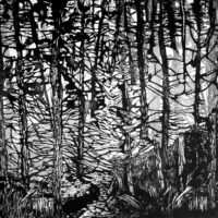 Forêt